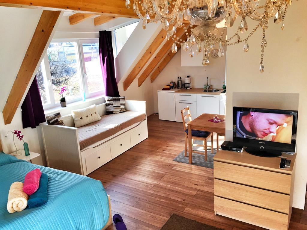 Book-A-Room Salzburg Apartment 5-6-7-8 Номер фото